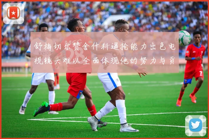 舒梅切尔赞舍什科逼抢能力出色电视镜头难以全面体现他的努力与贡献